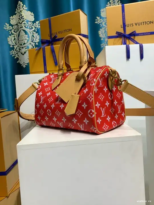 WIS 25 VUITTON  P9 Speedy Bandoulière LOUIS 0515